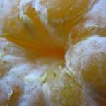 Как сделать яблочно-апельсиновый пирог Пирог быстрый из яблок и апельсин
